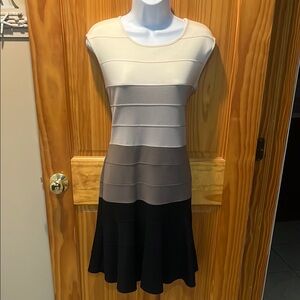 Dressbarn Dress Sleeveless